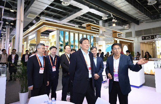 江蘇省委常委、常務副省長馬欣蒞臨上上展位-1.jpg